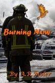 Burning Now (eBook, ePUB)