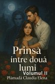 Prinsa între doua lumi Volumul II (eBook, ePUB)