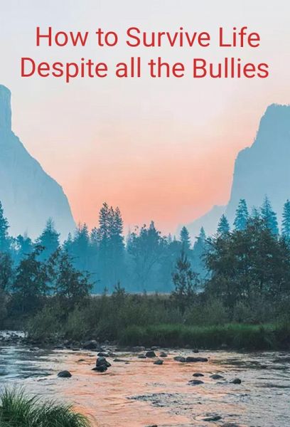 How to survive Life Despite all the Bullies (1, #143) (eBook, ePUB)