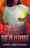Superpowered Love 7: The Playhouse (eBook, ePUB)