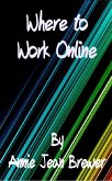 Where to Work Online (eBook, ePUB)