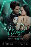 An Accident Waiting to Dragon (eBook, ePUB)