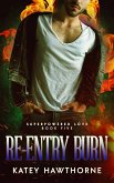 Superpowered Love 5: Re-Entry Burn (eBook, ePUB)