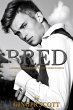 Bred (eBook, ePUB) - Bild 1
