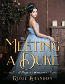 Meeting a Duke (eBook, ePUB) Meeting a Duke (eBook, ePUB)