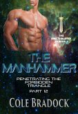 The Manhammer (eBook, ePUB)