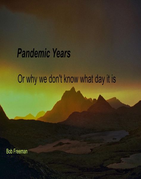 Pandemic Years, or Why We Don't Know What Day It Is (eBook, ePUB)