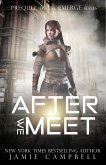 After We Meet (eBook, ePUB)