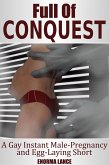 Full of Conquest (eBook, ePUB)