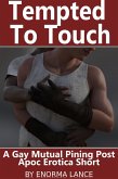 Tempted to Touch (eBook, ePUB)
