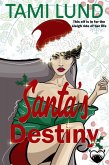 Santa's Destiny (A Paranormal Romcom Novel) (eBook, ePUB)