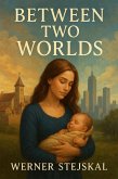 Between Two Worlds (eBook, ePUB)