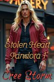 Stolen Heart Pandora 1 (eBook, ePUB)