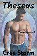 Theseus Twelve Labors 7 (eBook, ePUB) - Bild 1