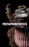 Metamorphosis (eBook, ePUB)