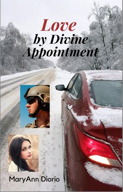 Cover Love by Divine Appointment (eBook, ePUB)