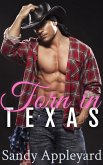 Torn in Texas (eBook, ePUB)