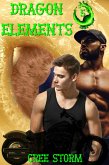 Dragon Elements D.O.A. 5 (eBook, ePUB)