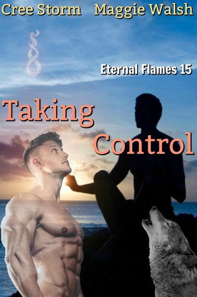 Taking Control Eternal Flames 15 (eBook, ePUB)