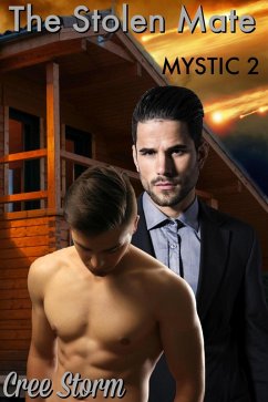 Cover The Stolen Mate M.Y.S.T.I.C. 2 (eBook, ePUB)