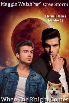 Cover When The Knight Comes Eternal Flames Maddox 12 (eBook, ePUB)