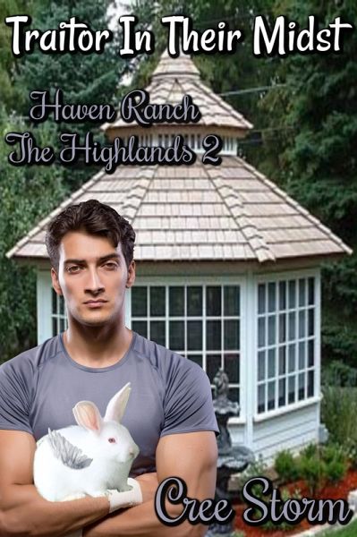 Traitor In Their Midst Haven Ranch The Highlands 2 (eBook, ePUB)