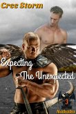 Expecting The Unexpected Nakaka 3 (eBook, ePUB)