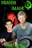 Dragon Image D.O.A. 6 (eBook, ePUB)