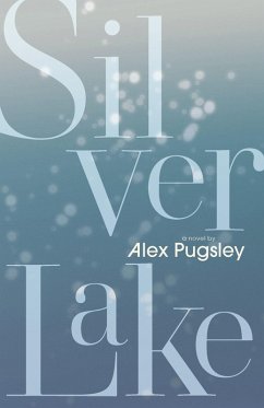 Cover Silver Lake (eBook, ePUB)