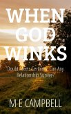 When God Winks (eBook, ePUB)