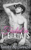 Fooled in Texas (eBook, ePUB)