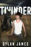 Thunder (eBook, ePUB)