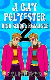 A Gay Polyester High School Romance 2 (eBook, ePUB)