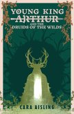 Young King Arthur and the Druids of the Wilds (King Arthur Series, #2) (eBook, ePUB)