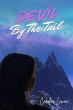 Devil by the Tail (eBook, ePUB) - Bild 1