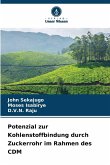 Potenzial zur Kohlenstoffbindung durch Zuckerrohr im Rahmen des CDM