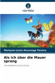 Als ich über die Mauer sprang