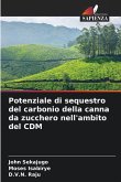 Potenziale di sequestro del carbonio della canna da zucchero nell'ambito del CDM