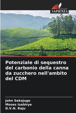 Cover Potenziale di sequestro del carbonio della canna da zucchero nell'ambito del CDM