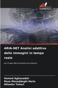 Cover ARIA-NET Analisi adattiva delle immagini in tempo reale