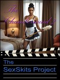 The Chambermaid 2 (eBook, ePUB)