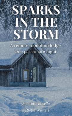Cover Sparks in The Storm (eBook, ePUB)