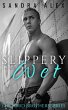 Slippery When Wet (eBook, ePUB) - Bild 1