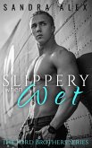 Slippery When Wet (eBook, ePUB)