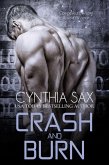 Crash And Burn (Cyborg Sizzle, #3) (eBook, ePUB)