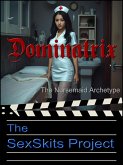 Dominatrix 1 (eBook, ePUB)