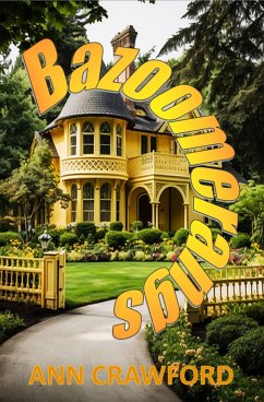 Cover Bazoomerangs (eBook, ePUB)