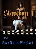 Slaveboy 1 (eBook, ePUB)