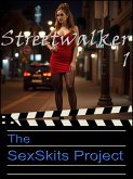 Streetwalker 1 (eBook, ePUB)