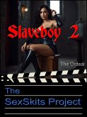 Slaveboy 2 - The Ordeal (eBook, ePUB)